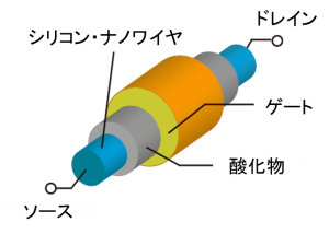 図1 シリコン・ナノワイヤ材を用いた電界効果トランジスタのイメージ