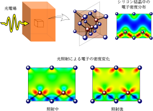 図1　半導体に光を照射したときの電子密度分布の変化 シリコン結晶にレーザーパルス光を照射し（上）、電子密度分布の変化を追いました（下）。左は照射中、右は照射後の電子密度の変化を表しています。赤い領域は電子密度が増加したことを、青い領域は減少したことを示しています。