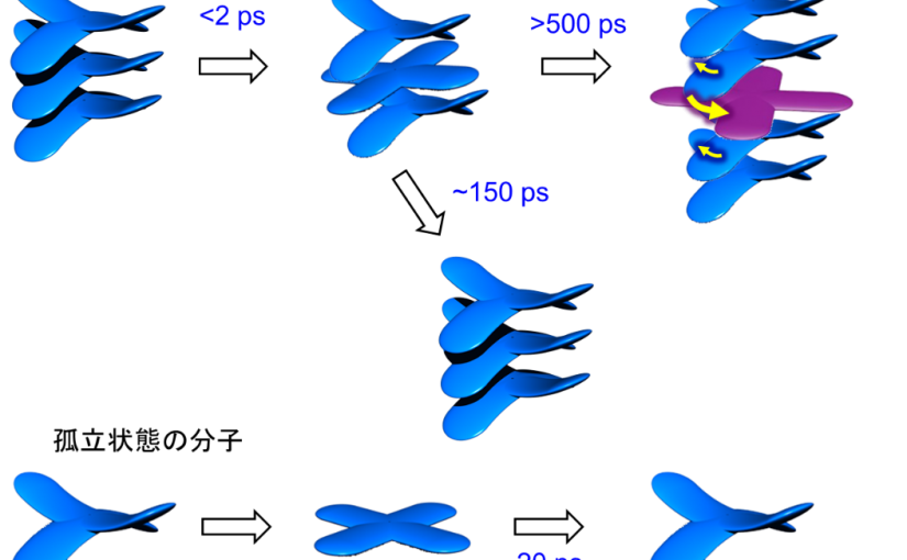 １兆分の１秒の時間分解能で液晶分子の動画を観測 －新しい測定・解析手法の確立－