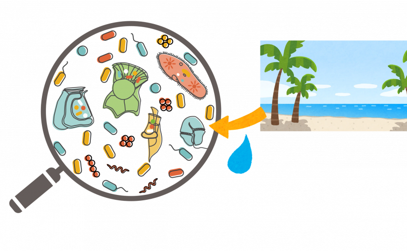 穴場に暮らす共生微生物