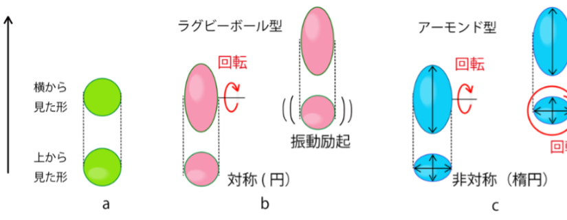 原子核の形状は「アーモンド」－定説を覆し、70年経て浮かび上がった真の姿－