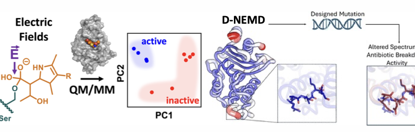 [Cancel] 153rd Colloquium of the Center for Computational Sciences