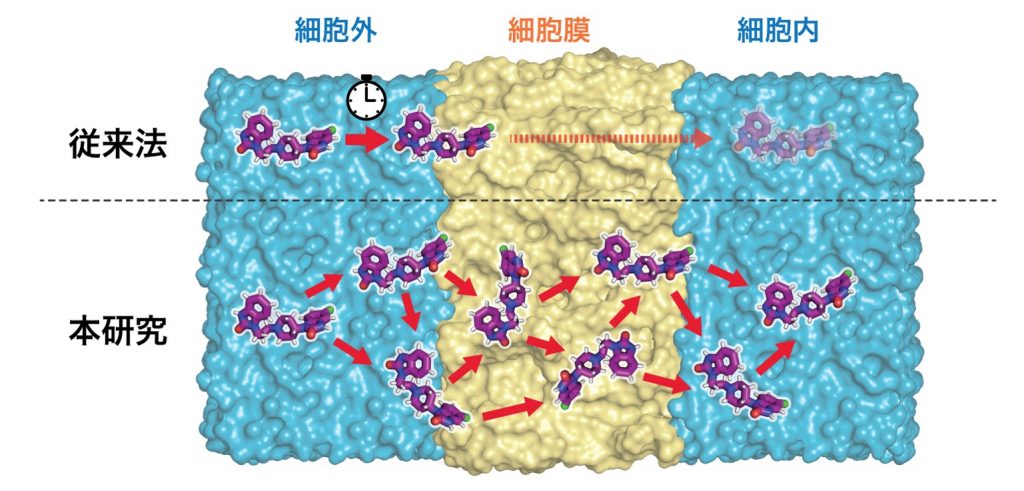 図２：本研究で開発した計算手法の概略図。計算コストを必要とする従来法と比較して、膜透過プロセスを効率的に抽出できる。