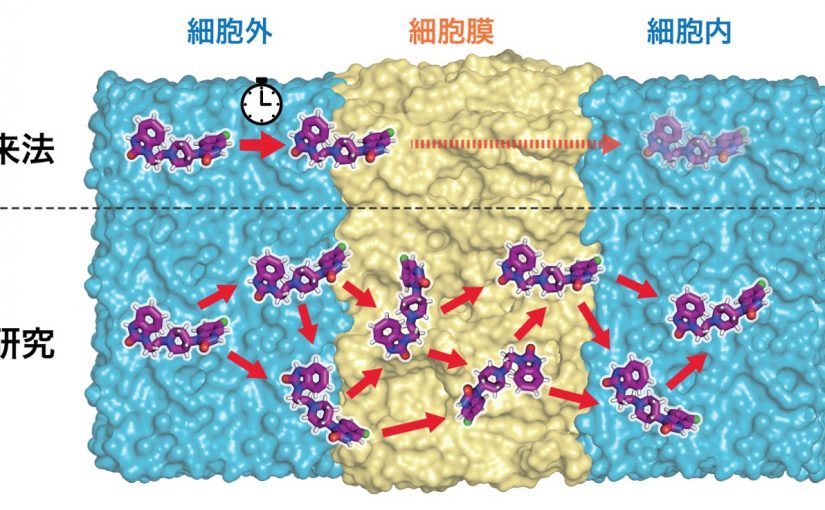 [ウェブリリース]　薬剤の膜透過メカニズムを解明する計算手法を提案